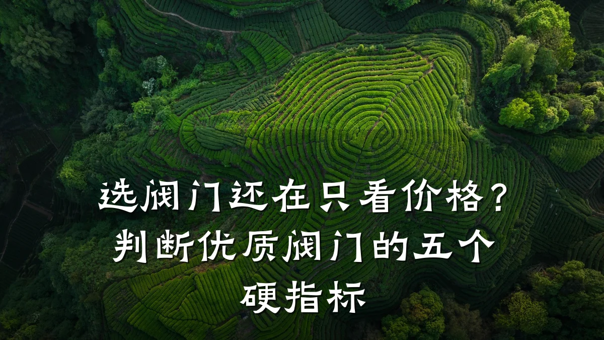 选阀门还在只看价格?判断优质阀门的五个硬指标