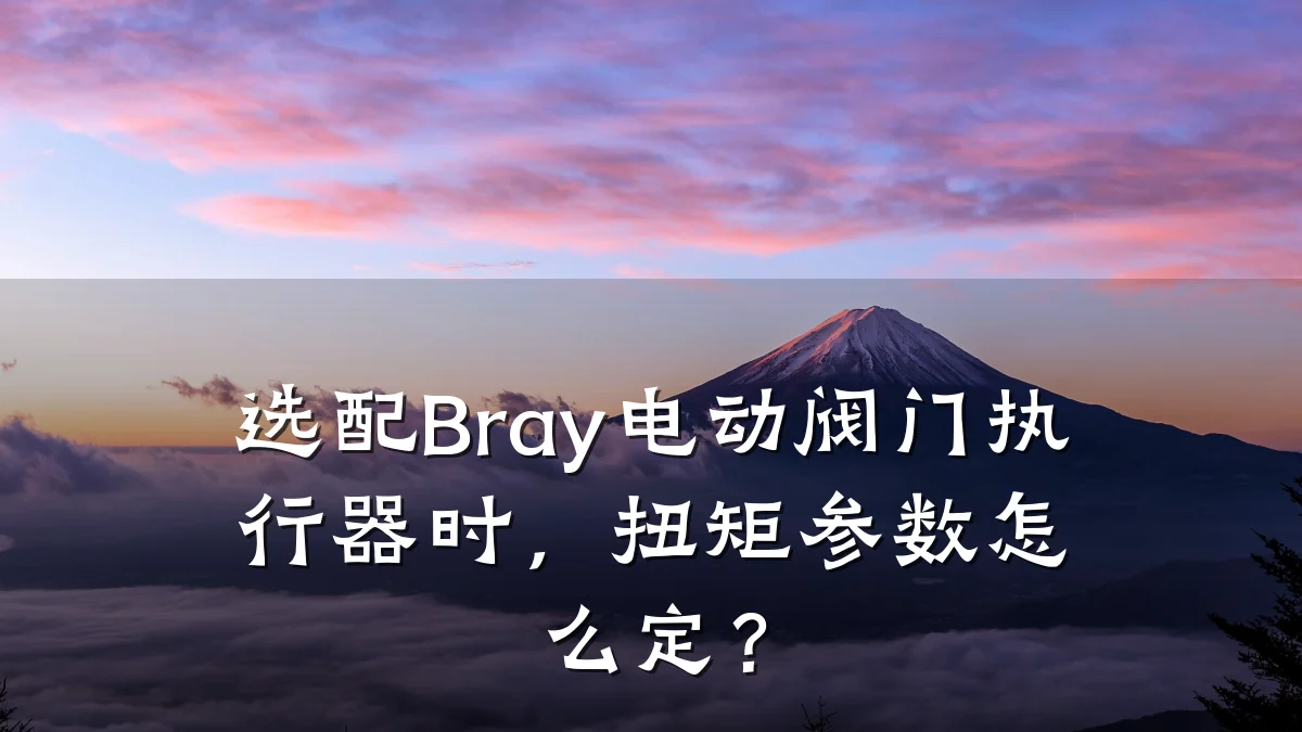 选配Bray电动阀门执行器时,扭矩参数怎么定?