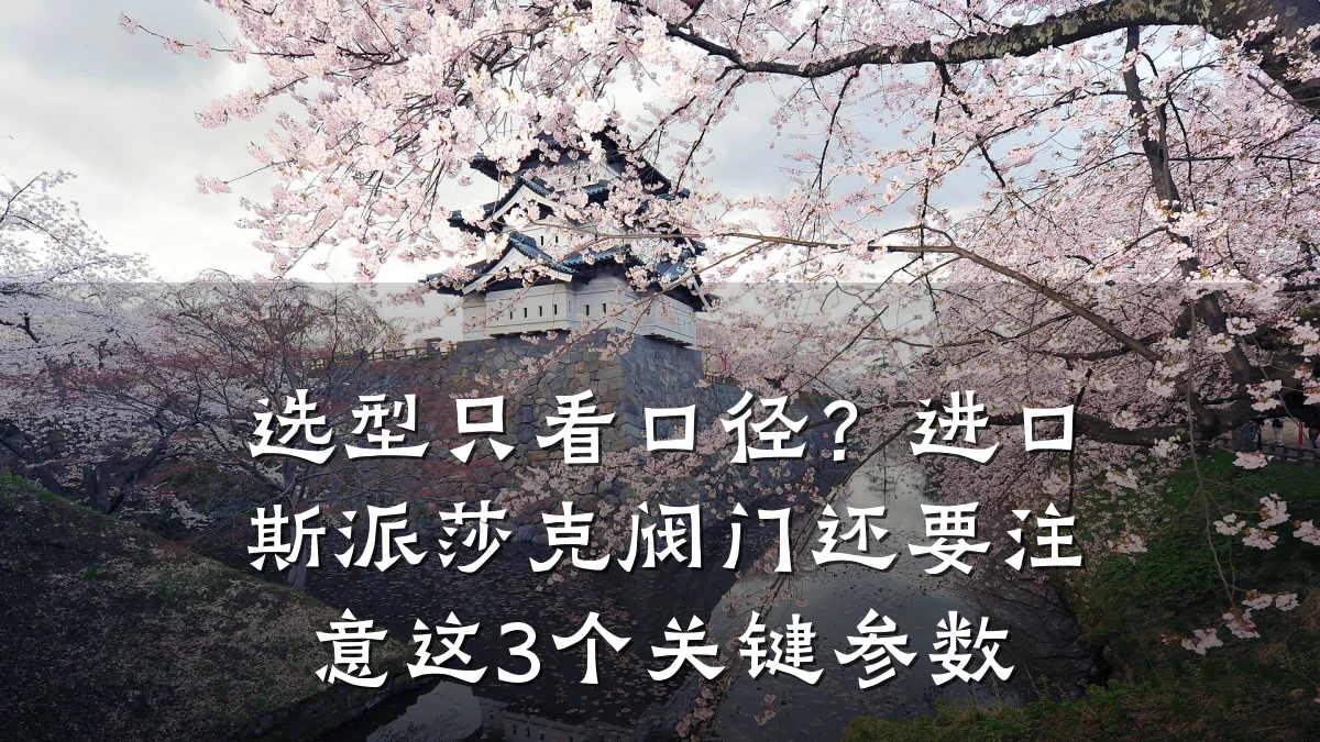 选型只看口径?进口斯派莎克阀门还要注意这3个关键参数