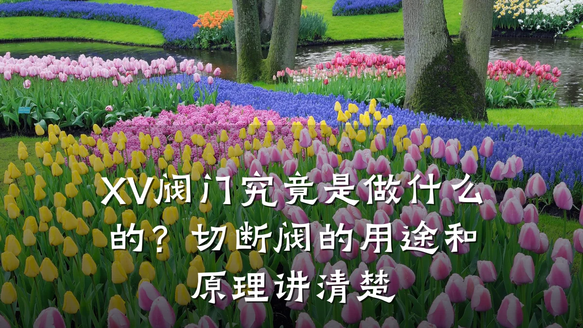 XV阀门究竟是做什么的?切断阀的用途和原理讲清楚