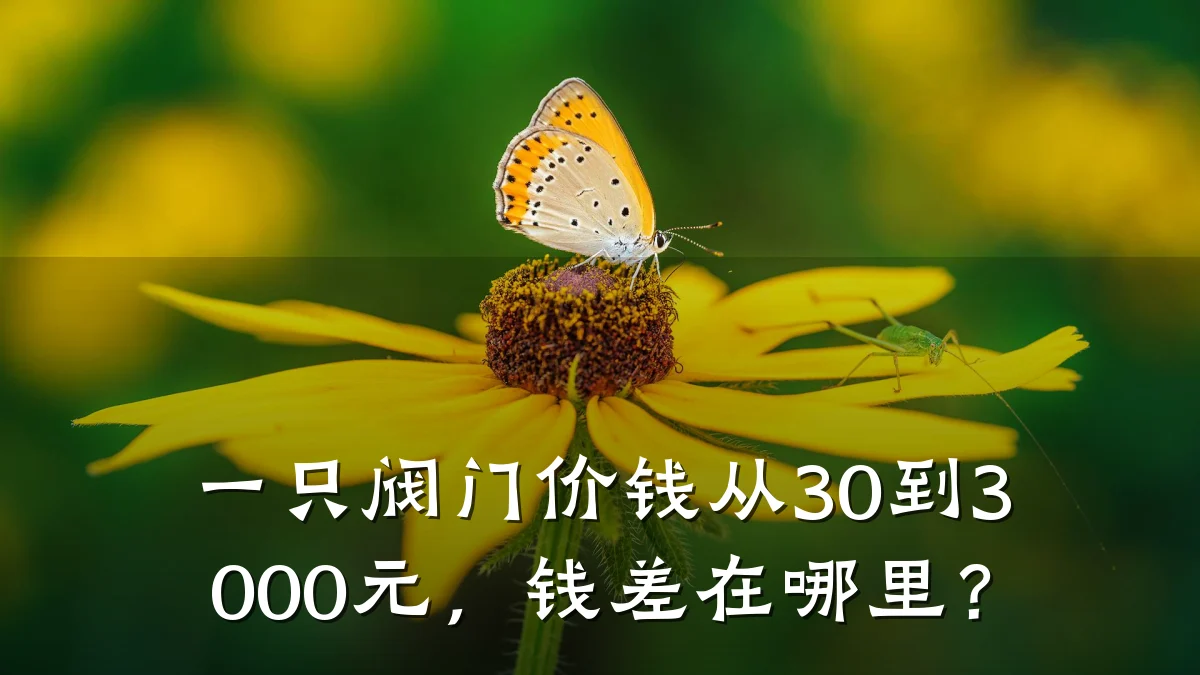 一只阀门价钱从30到3000元,钱差在哪里?