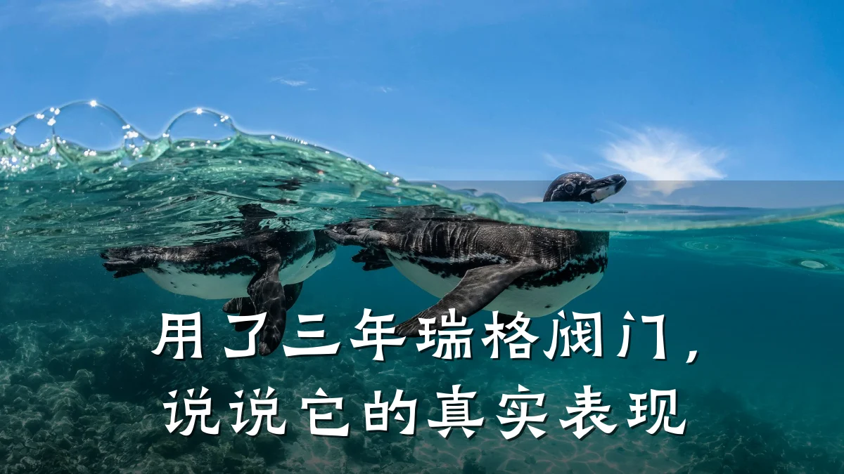 用了三年瑞格阀门,说说它的真实表现