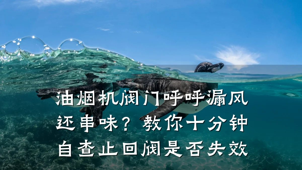 油烟机阀门呼呼漏风还串味?教你十分钟自查止回阀是否失效