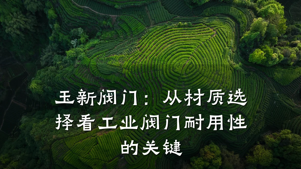 玉新阀门:从材质选择看工业阀门耐用性的关键