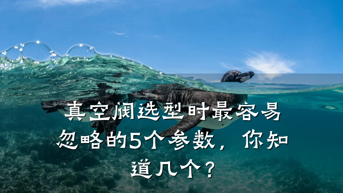真空阀选型时最容易忽略的5个参数,你知道几个?