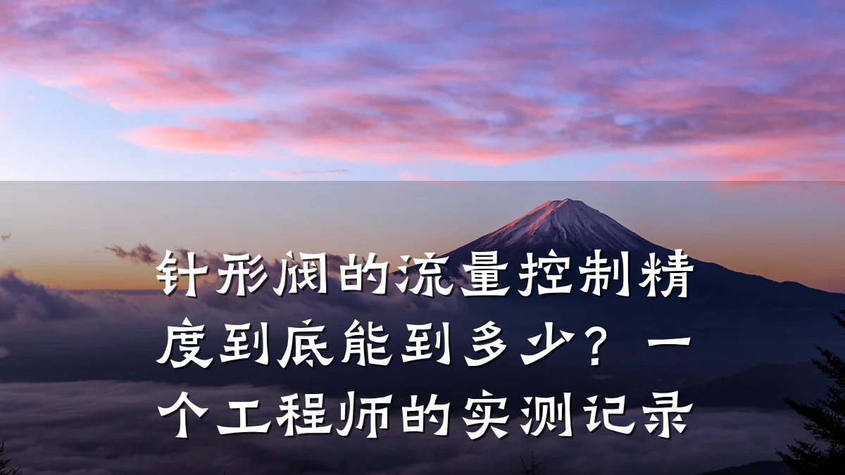 针形阀的流量控制精度到底能到多少?一个工程师的实测记录