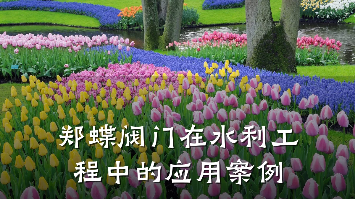 郑蝶阀门在水利工程中的应用案例