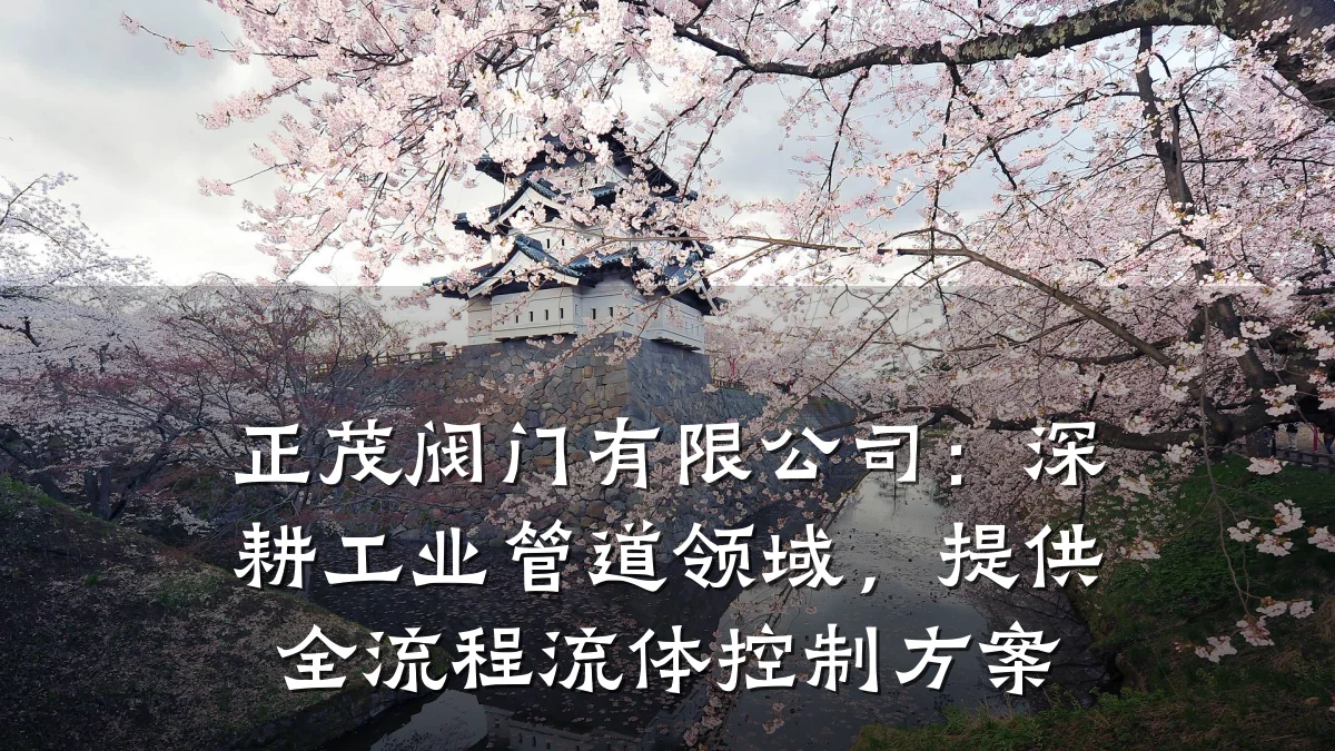 正茂阀门有限公司:深耕工业管道领域,提供全流程流体控制方案