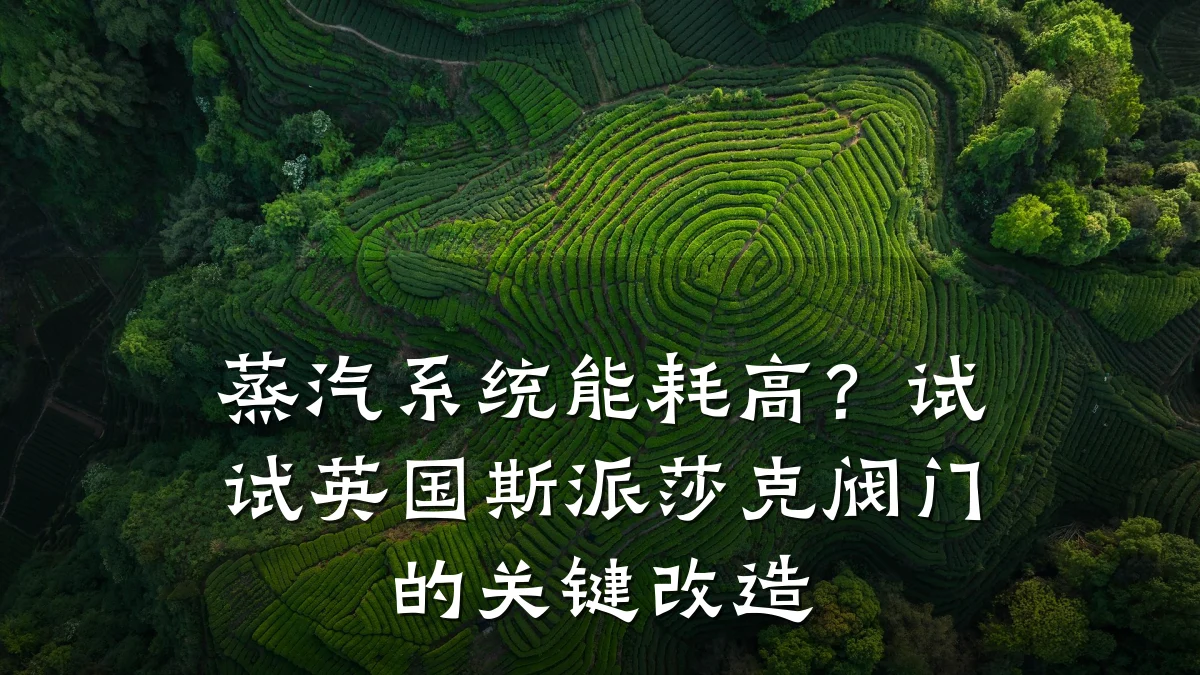 蒸汽系统能耗高?试试英国斯派莎克阀门的关键改造