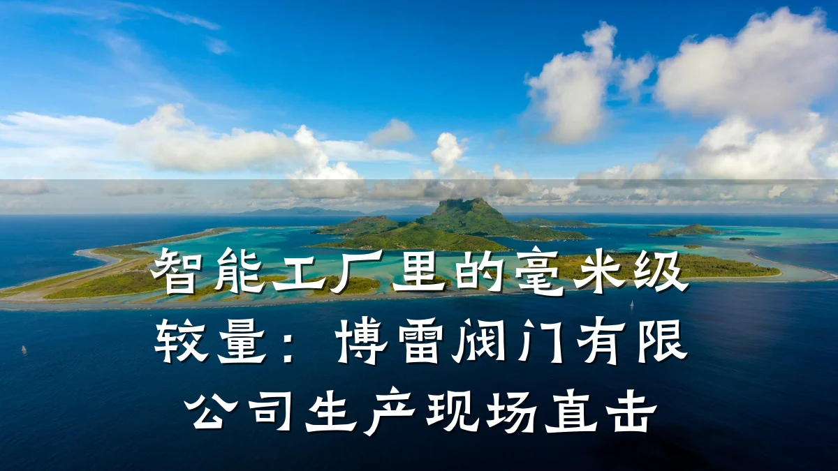 智能工厂里的毫米级较量:博雷阀门有限公司生产现场直击