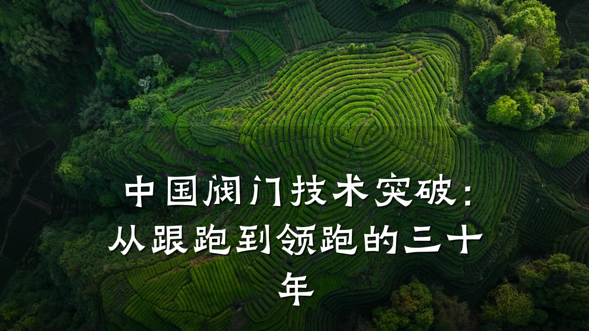 中国阀门技术突破:从跟跑到领跑的三十年