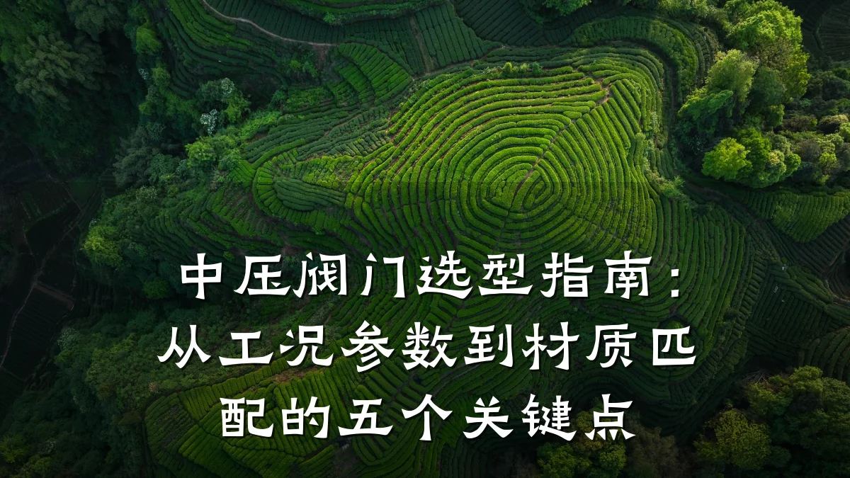 中压阀门选型指南：从工况参数到材质匹配的五个关键点