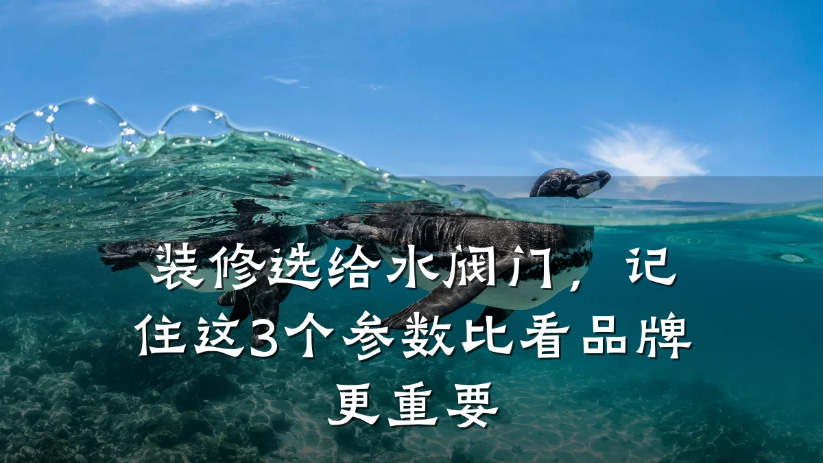 装修选给水阀门,记住这3个参数比看品牌更重要